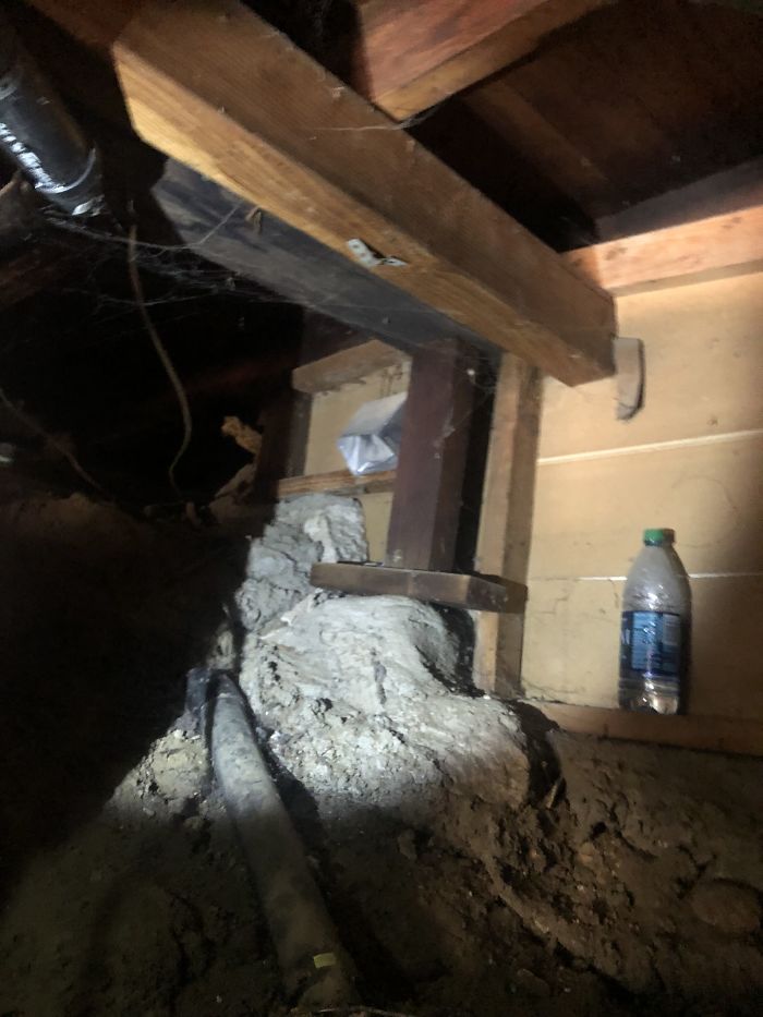 Weird-Things-Structural-Inspections