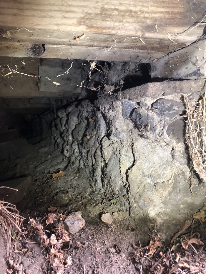 Weird-Things-Structural-Inspections