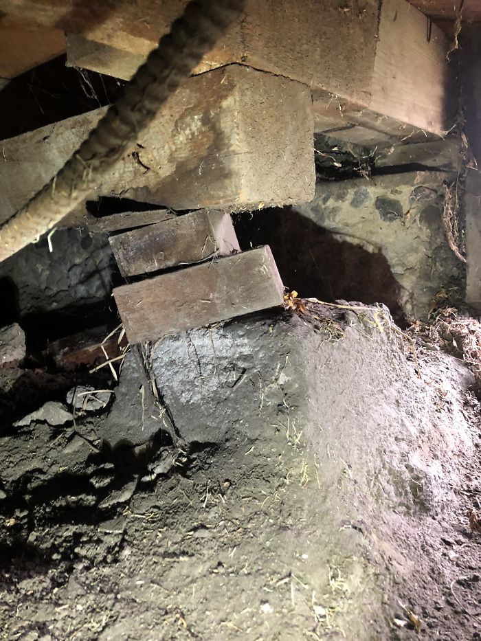 Weird-Things-Structural-Inspections