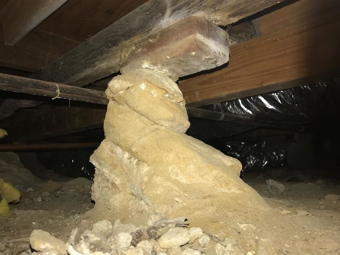 Weird-Things-Structural-Inspections