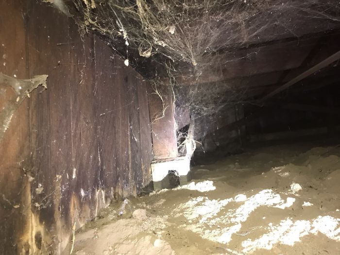 Weird-Things-Structural-Inspections