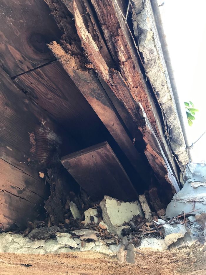 Weird-Things-Structural-Inspections