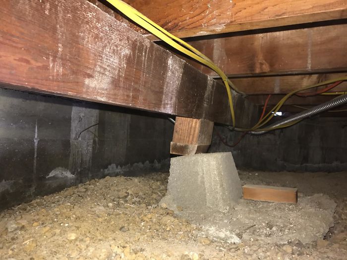 Weird-Things-Structural-Inspections