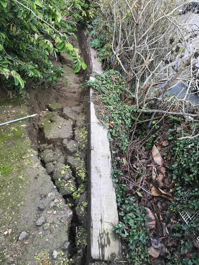 Weird-Things-Structural-Inspections