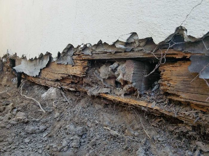 Weird-Things-Structural-Inspections