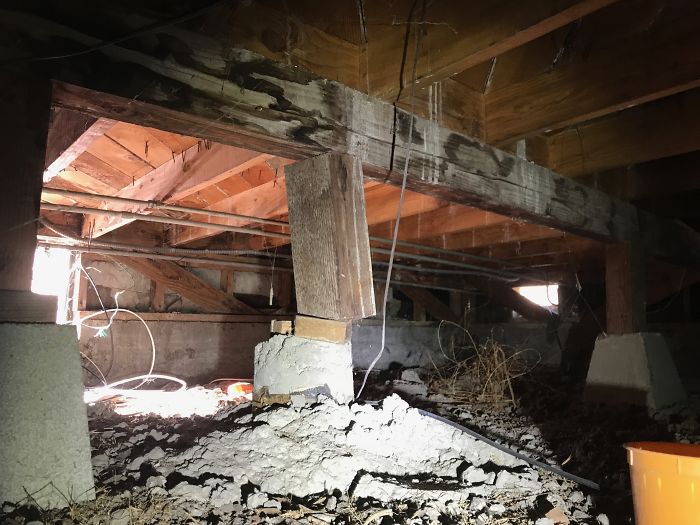 Weird-Things-Structural-Inspections