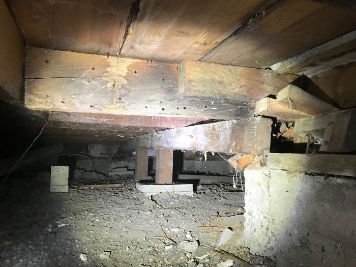 Weird-Things-Structural-Inspections