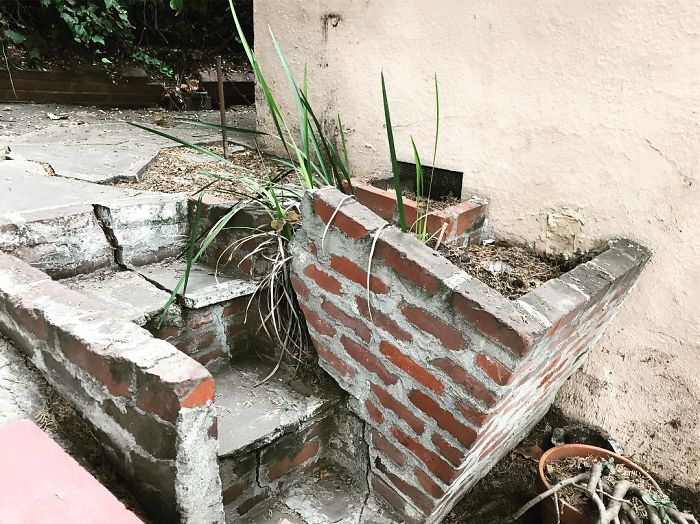 Weird-Things-Structural-Inspections