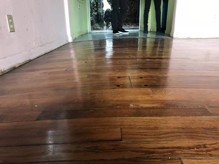 Weird-Things-Structural-Inspections