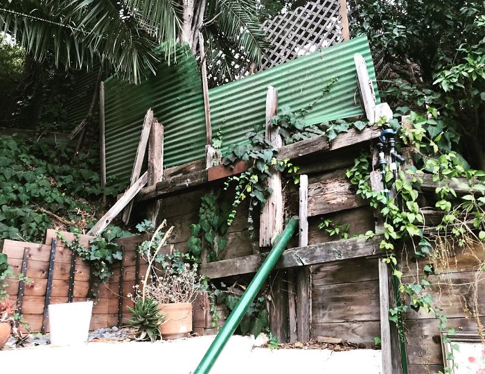 Weird-Things-Structural-Inspections