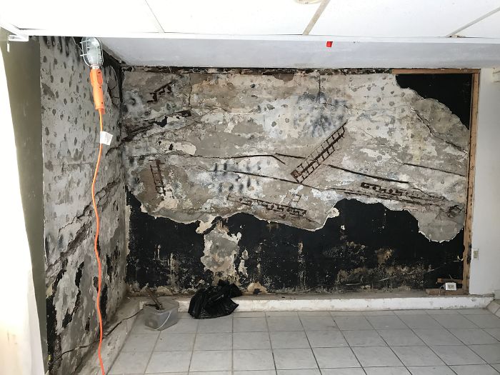 Weird-Things-Structural-Inspections