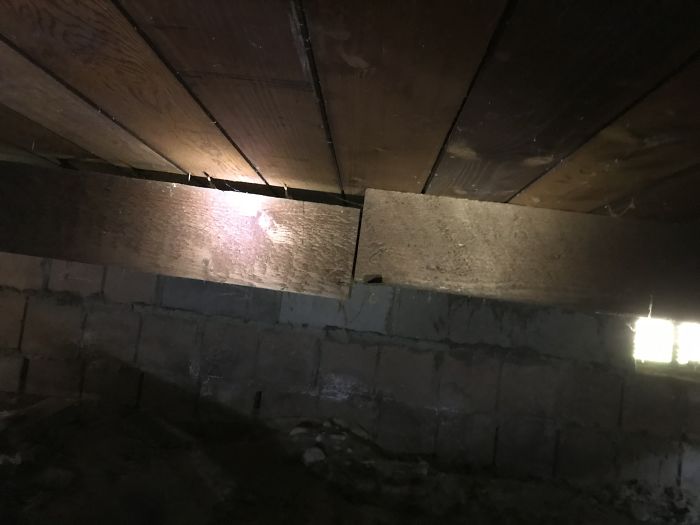 Weird-Things-Structural-Inspections