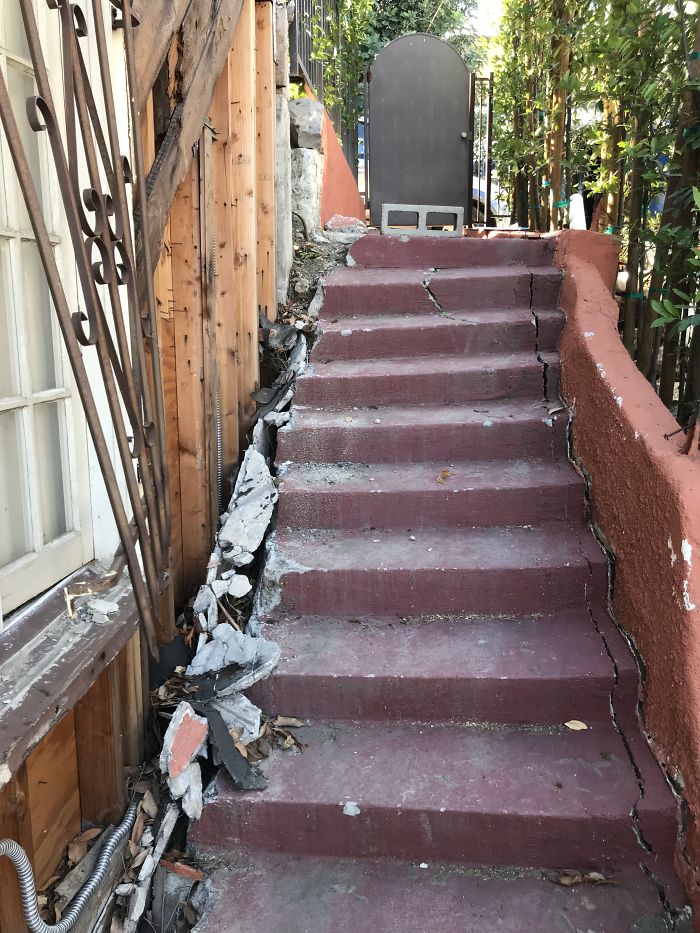 Weird-Things-Structural-Inspections