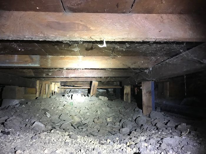 Weird-Things-Structural-Inspections