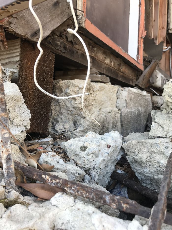 Weird-Things-Structural-Inspections