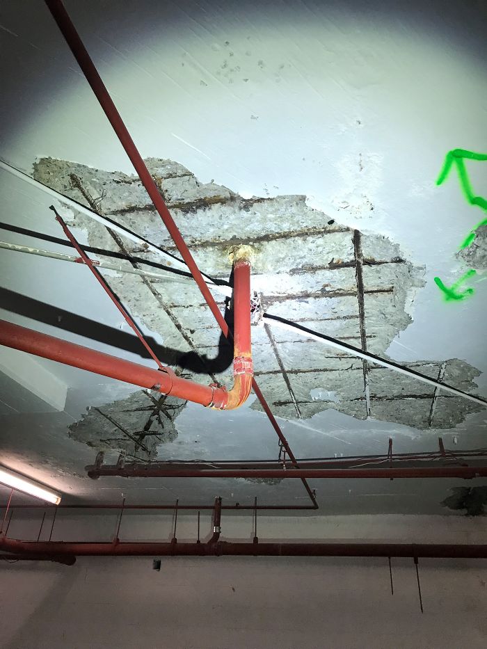 Weird-Things-Structural-Inspections