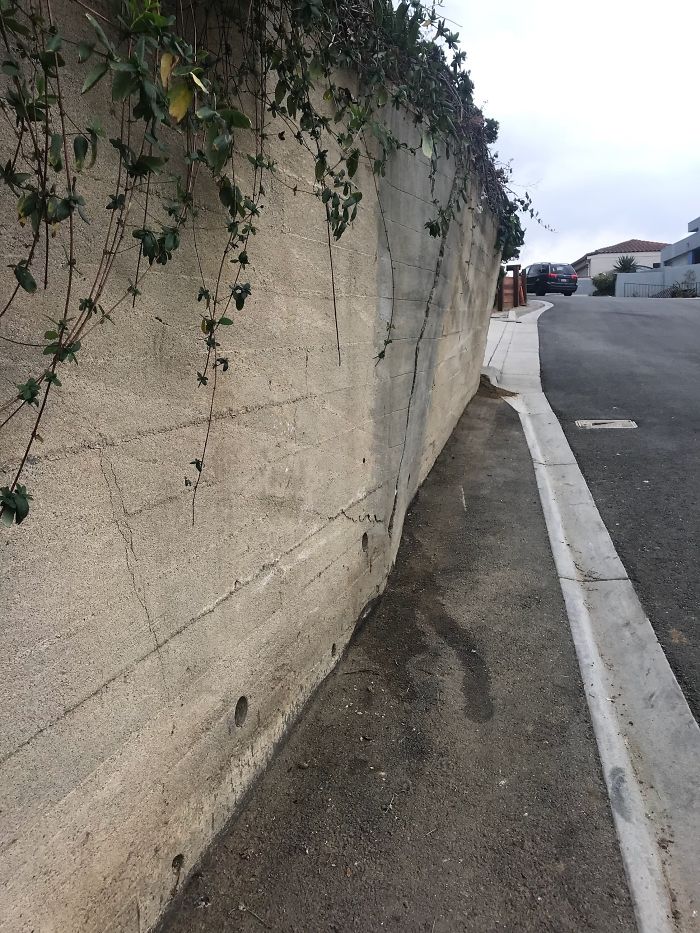 Weird-Things-Structural-Inspections