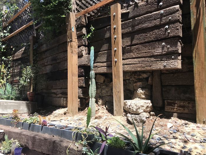 Weird-Things-Structural-Inspections