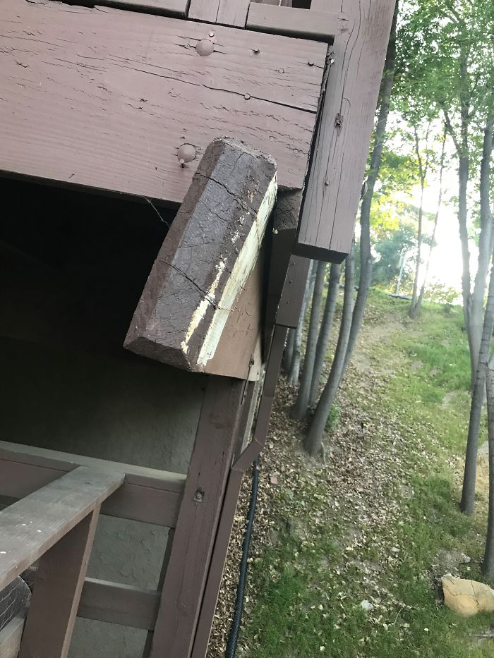 Weird-Things-Structural-Inspections