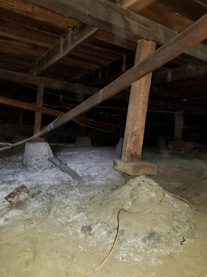 Weird-Things-Structural-Inspections