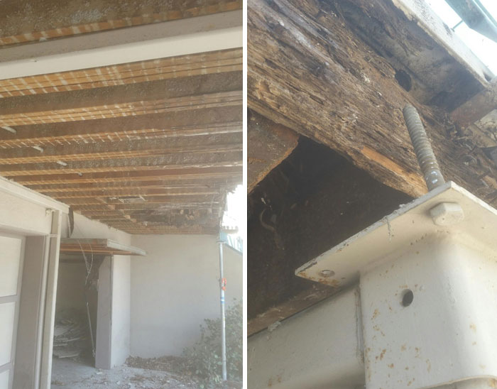 Weird-Things-Structural-Inspections