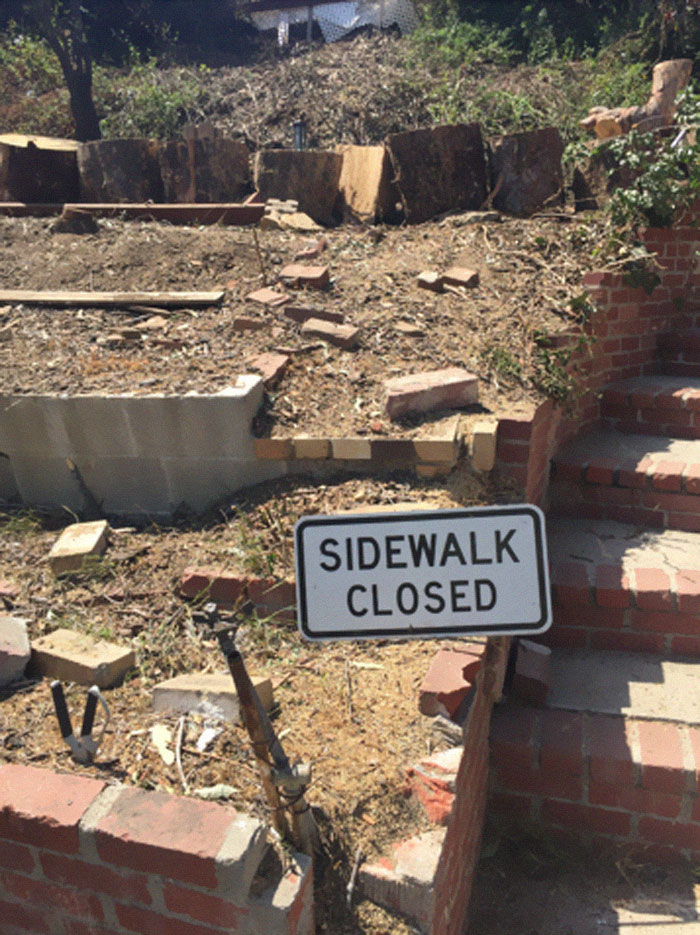 Weird-Things-Structural-Inspections