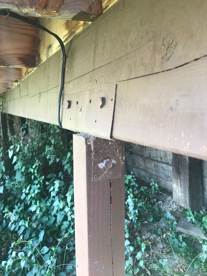 Weird-Things-Structural-Inspections