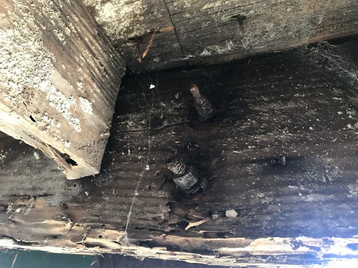 Weird-Things-Structural-Inspections