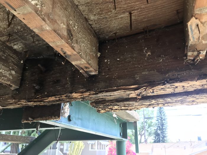 Weird-Things-Structural-Inspections