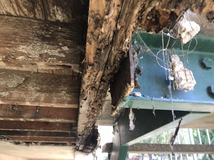 Weird-Things-Structural-Inspections