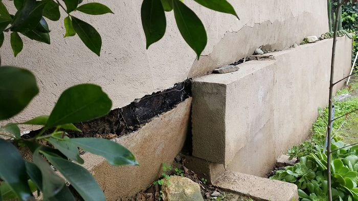 Weird-Things-Structural-Inspections