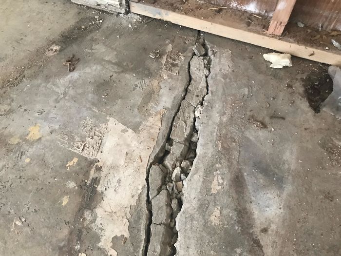 Weird-Things-Structural-Inspections