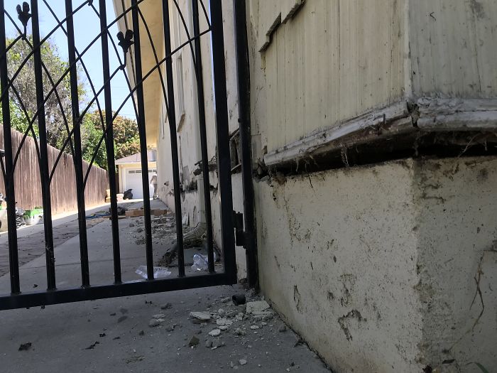 Weird-Things-Structural-Inspections