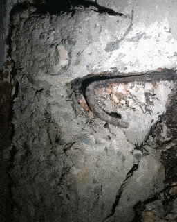 Weird-Things-Structural-Inspections