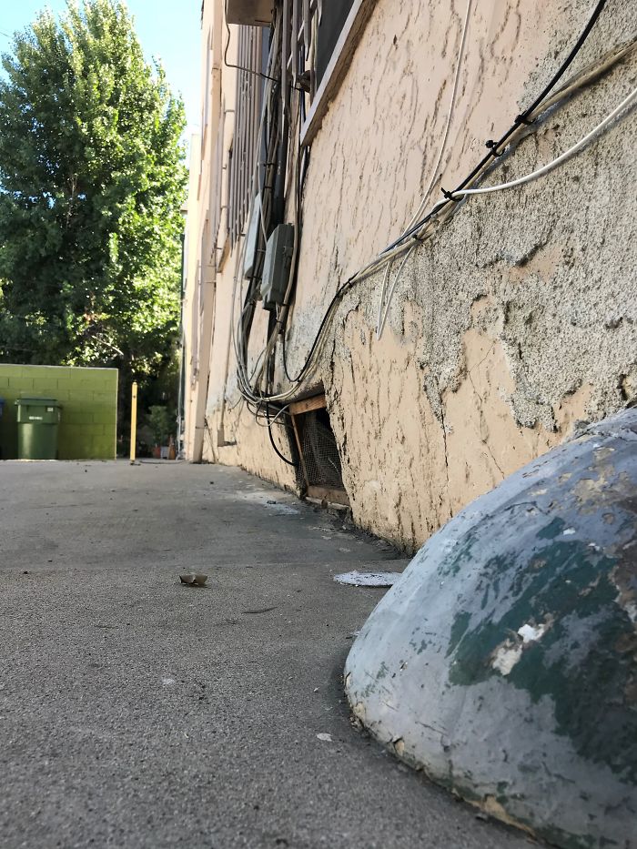 Weird-Things-Structural-Inspections