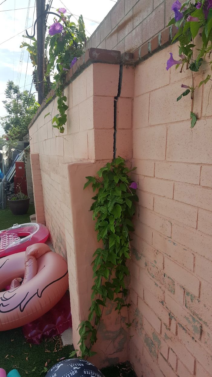 Weird-Things-Structural-Inspections