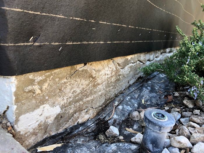 Weird-Things-Structural-Inspections