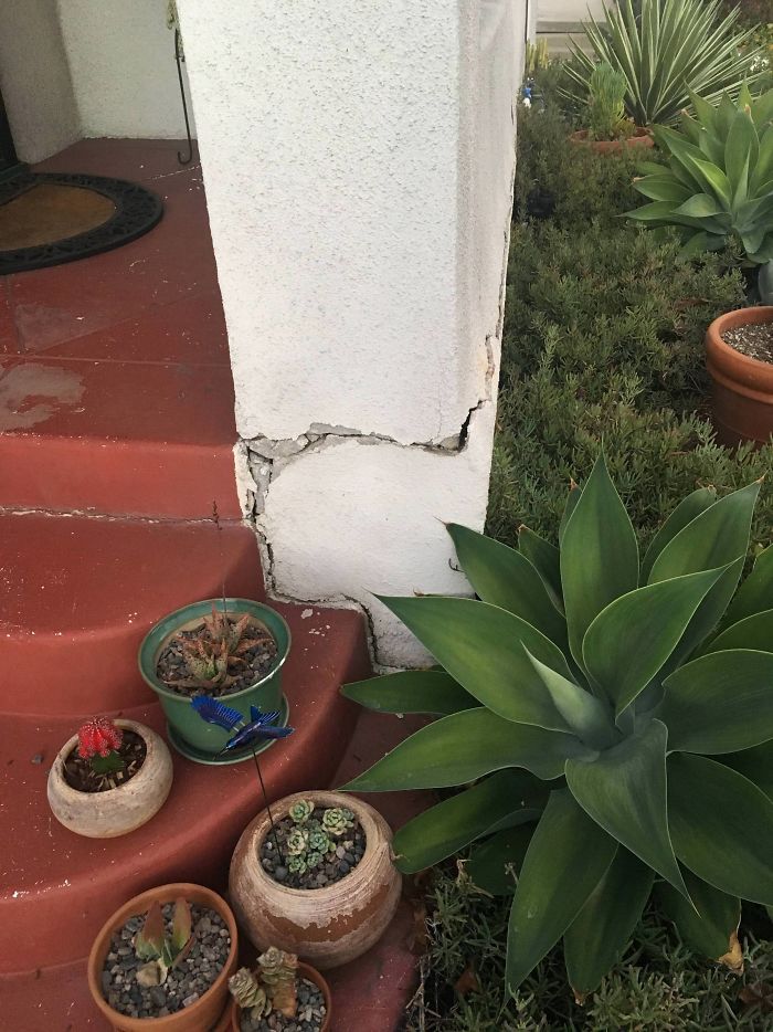 Weird-Things-Structural-Inspections