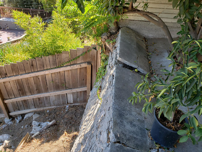 Weird-Things-Structural-Inspections