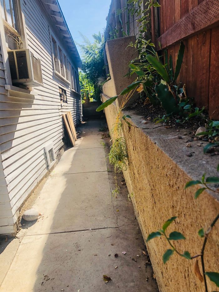 Weird-Things-Structural-Inspections