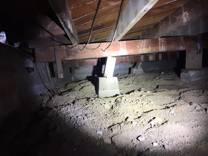 Weird-Things-Structural-Inspections