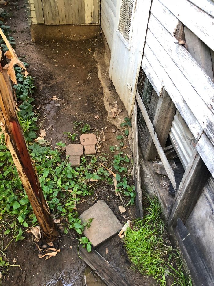 Weird-Things-Structural-Inspections