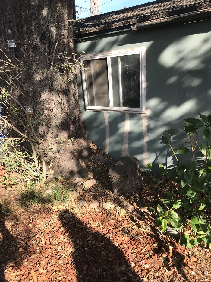 Weird-Things-Structural-Inspections