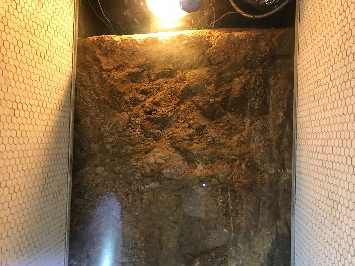 Weird-Things-Structural-Inspections