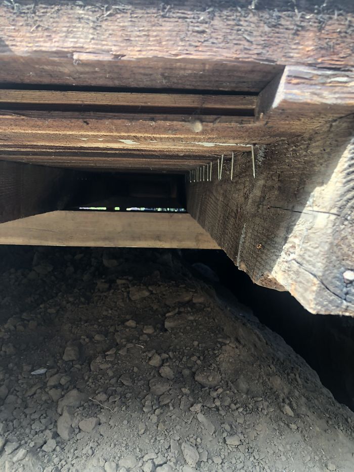 Weird-Things-Structural-Inspections