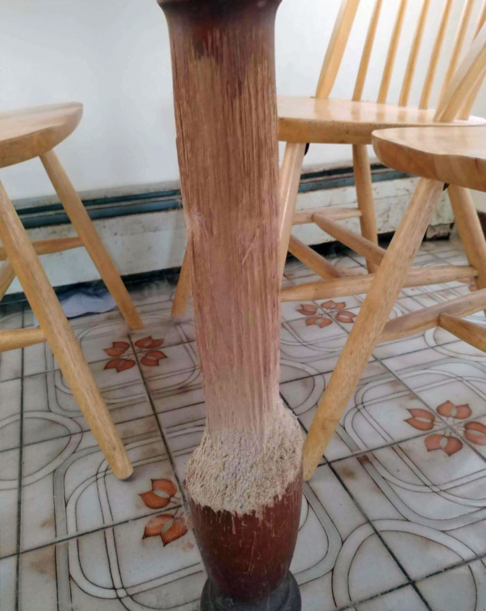 25 Years Of Cat Damage In A Vets Office/House