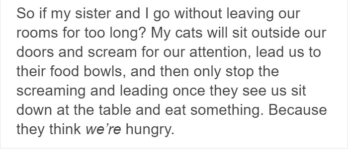 13 Times Cats Hilariously Surprised Their Owners With How Weird They Are 13 Times Cats Hilariously Surprised Their Owners With How Weird They Are