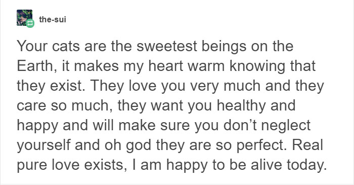 13 Times Cats Hilariously Surprised Their Owners With How Weird They Are 13 Times Cats Hilariously Surprised Their Owners With How Weird They Are