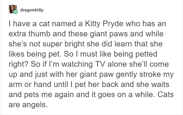 13 Times Cats Hilariously Surprised Their Owners With How Weird They Are 13 Times Cats Hilariously Surprised Their Owners With How Weird They Are