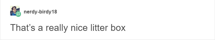 13 Times Cats Hilariously Surprised Their Owners With How Weird They Are 13 Times Cats Hilariously Surprised Their Owners With How Weird They Are